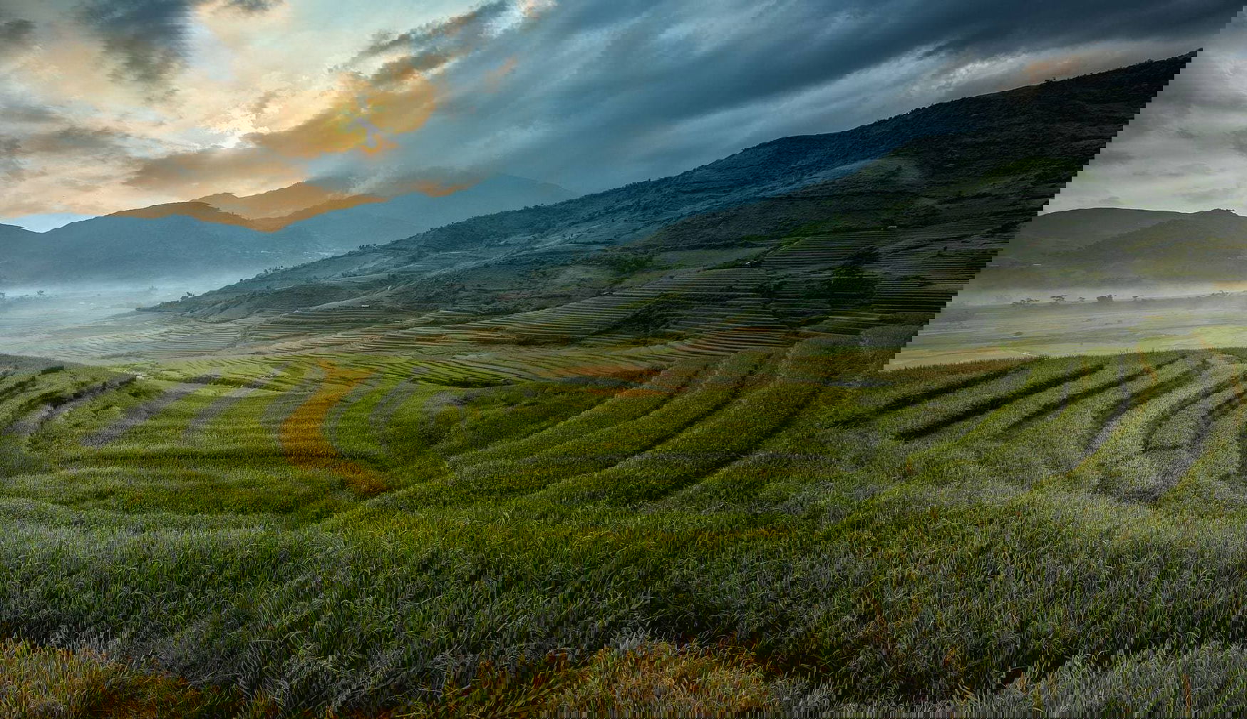 The Philippine farmers ask the government for support