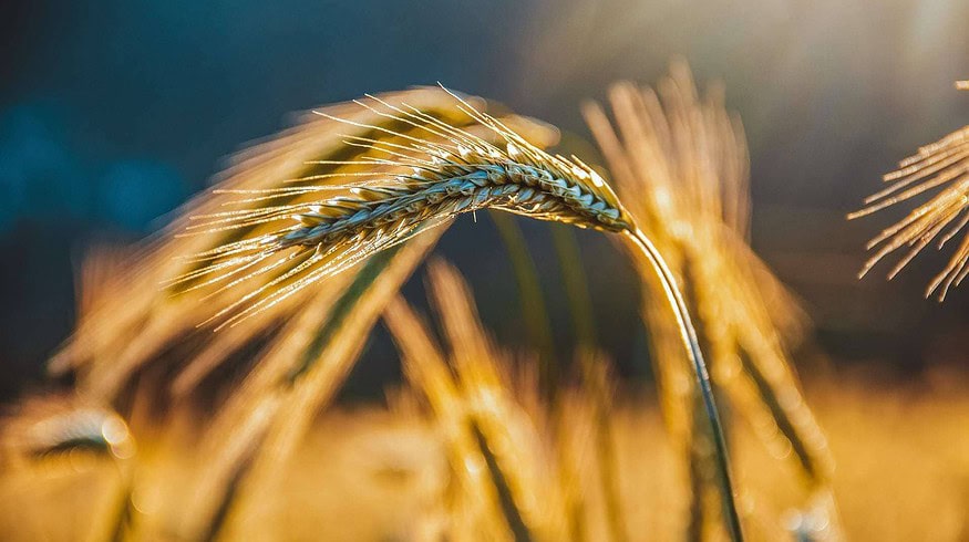 Corteva Agriscience expands to the Serbian market