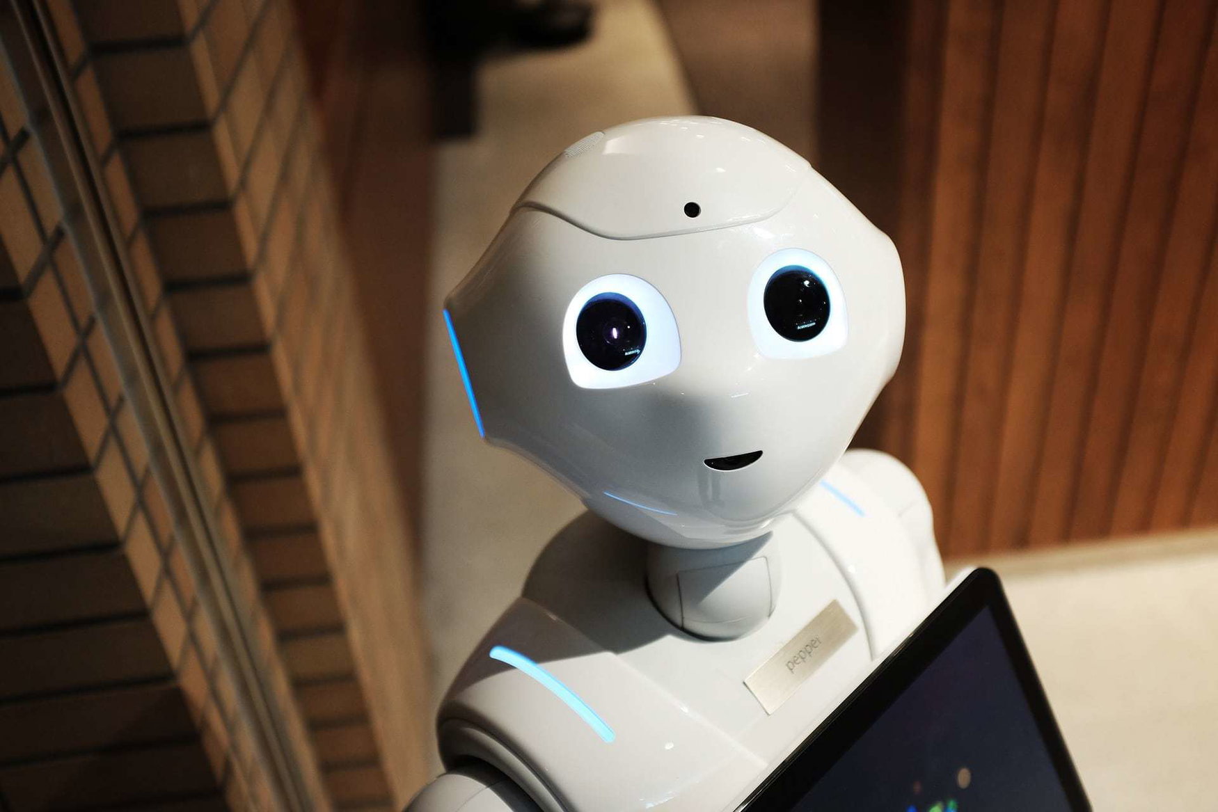 Robots for greenhouse complexes were created in Australia