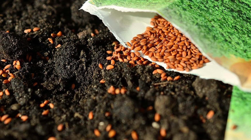 PhosAgro expands cooperation with Food and Agriculture Organization