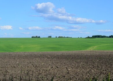 Producers froze fertilizer prices for farmers in Bashkortostan