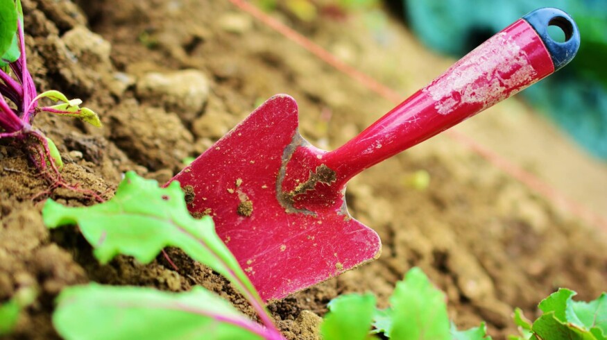Liming of 174.5 thousand hectares of land will be subsidized in Russia