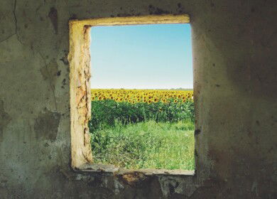 Ukraine may fail the spring sowing campaign