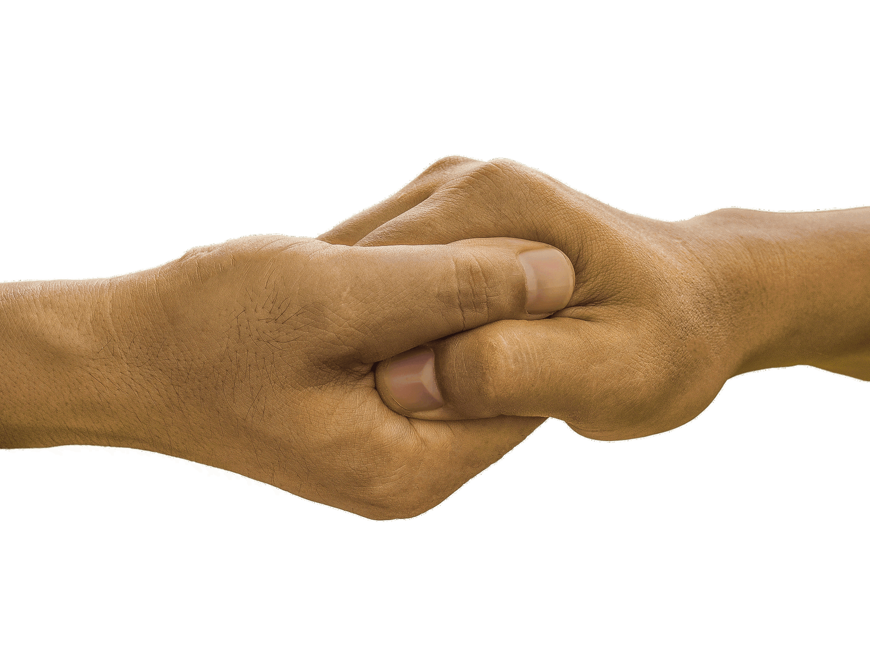 Belaruskali may be supported by the Indian companies