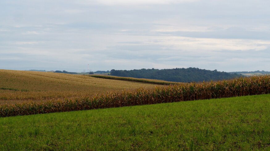 Supplies of fertilizers to the Russian market increased by 6%