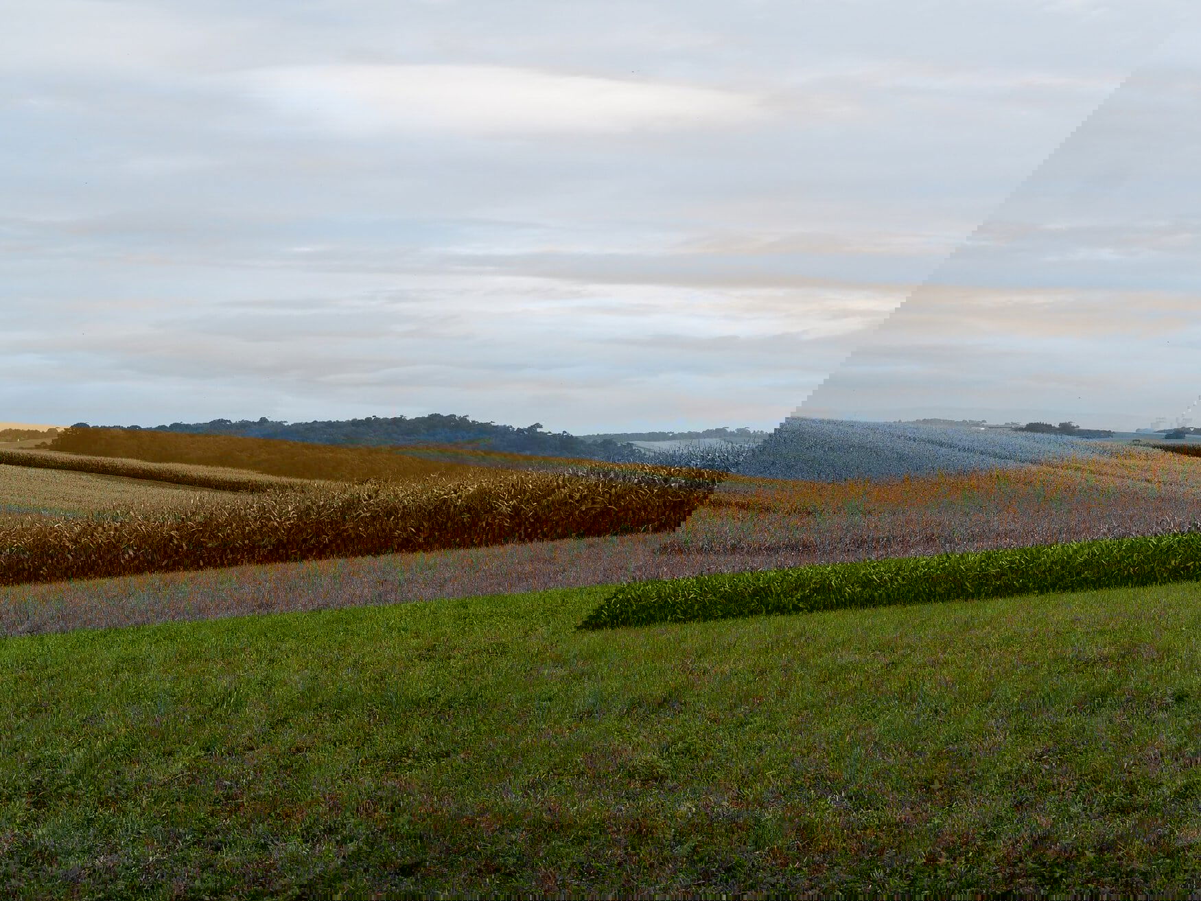 Supplies of fertilizers to the Russian market increased by 6%