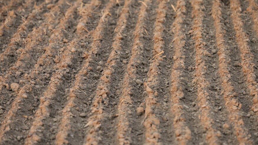 Spring fieldworks had started in the Saratov region