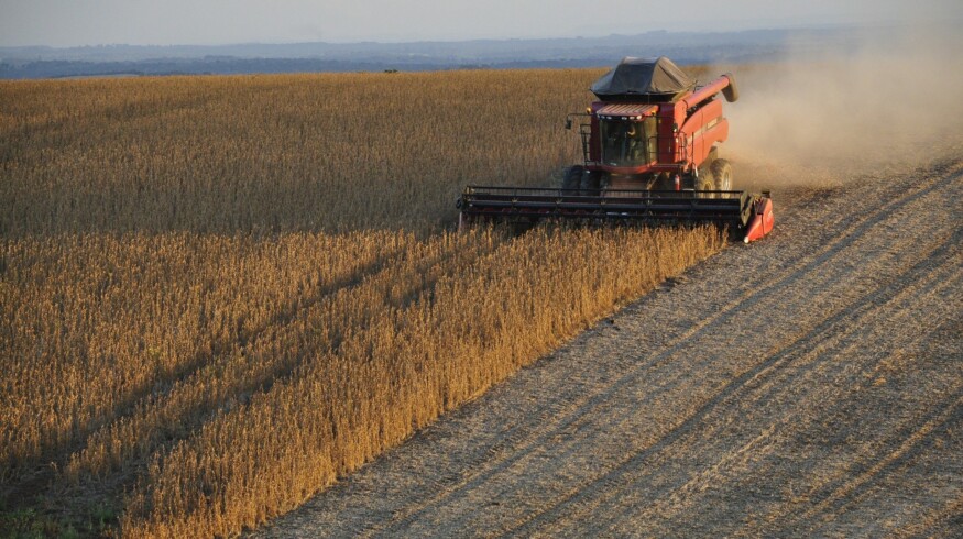 Elicit Plant enters the Brazilian market