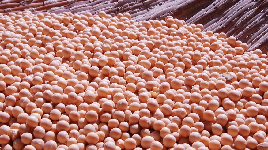 Soybean harvest in Russia may exceed 5 million tons