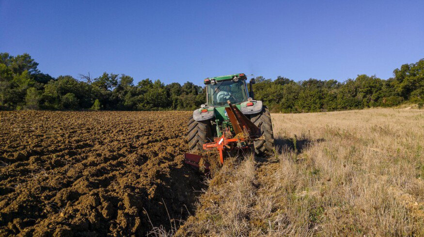 Sowing campaign in the Republic of Mordovia is being delayed