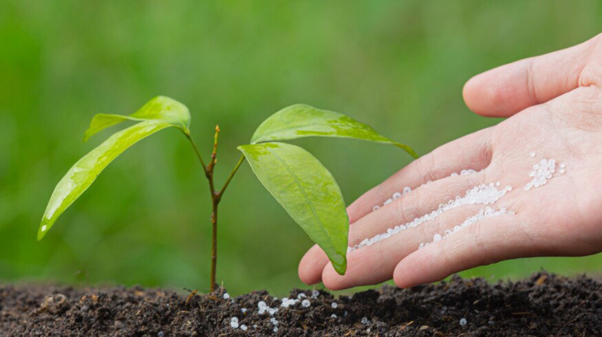 Russia increased production of nitrogen and phosphorus fertilizers in 2022