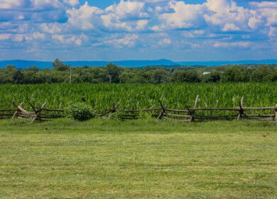 Tessenderlo Group will build new liquid fertilizers plant in the US