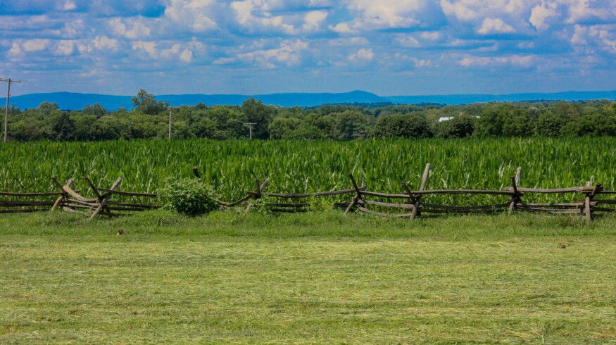 Tessenderlo Group will build new liquid fertilizers plant in the US