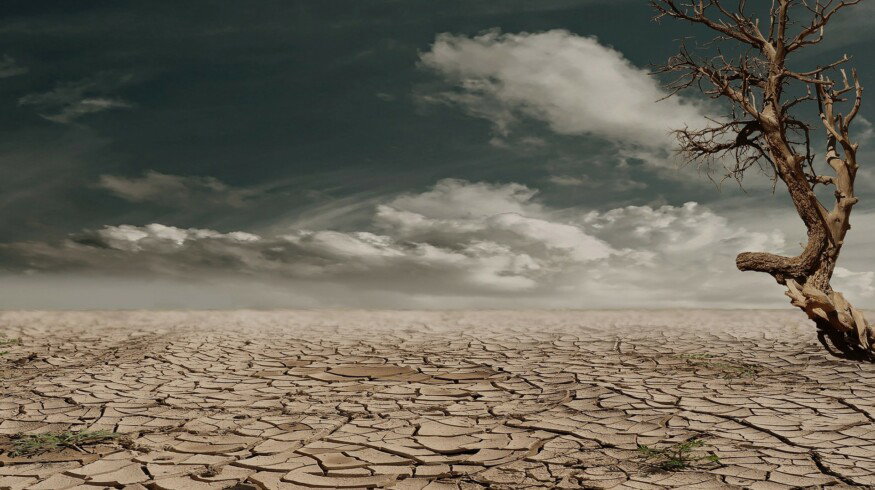 Earth is threatened by large-scale soil degradation