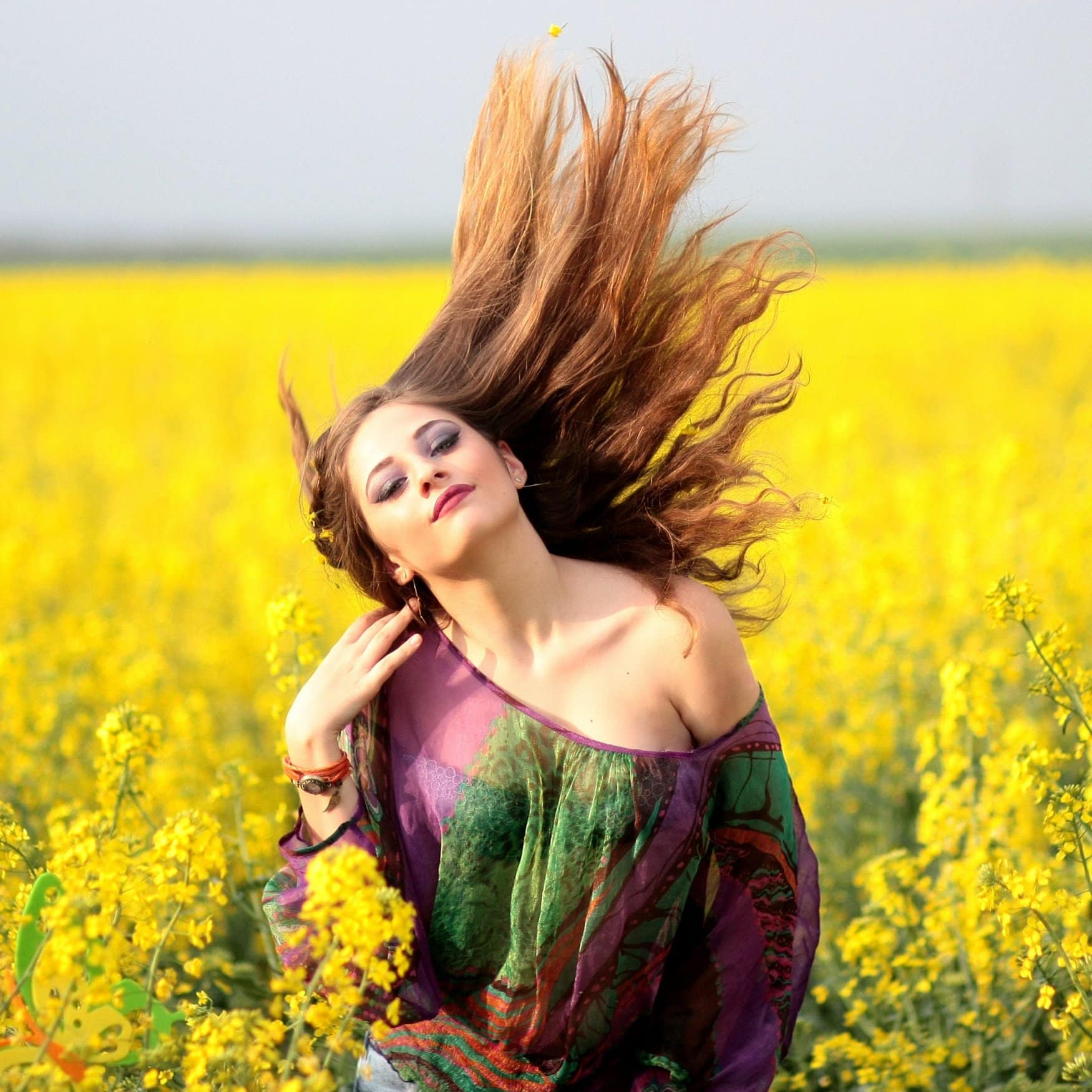 Kaliningrad region increased rapeseed crops areas