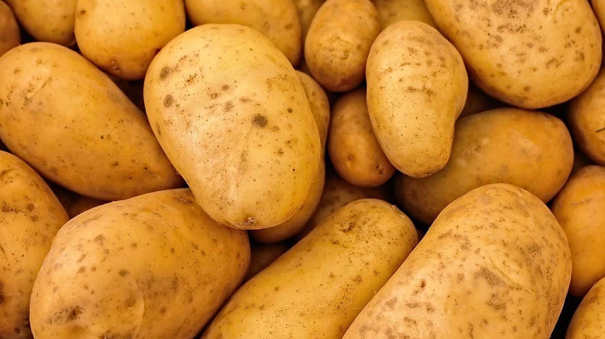 Russian Government will identify crucial food security crops