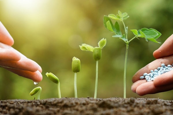 Purchases of mineral fertilizers in Chuvashia are gaining momentum
