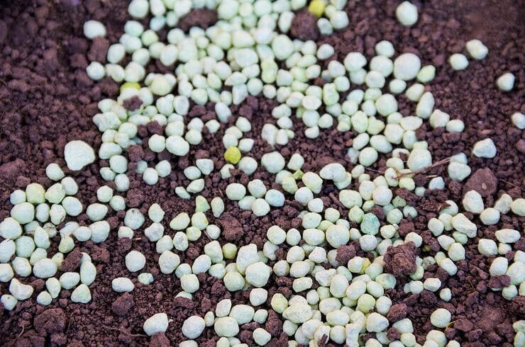 Russian farmers will acquire 5 million tons of mineral fertilizers this year