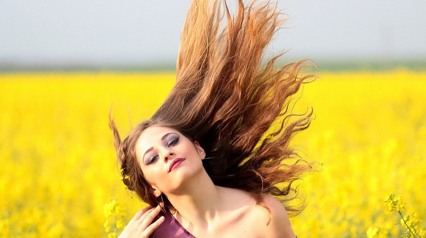 Rapeseed cultivation in Russia is expected to expand