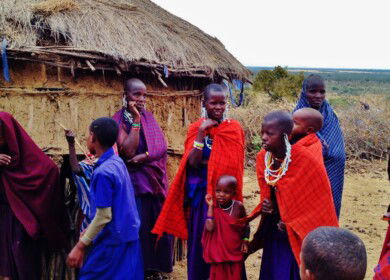 Russia aims to provide pro bono help for developing countries