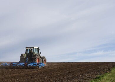 Autumn sowing campaign began in the Voronezh region