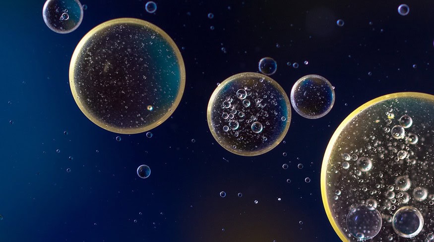 Bayer took control over CoverCress