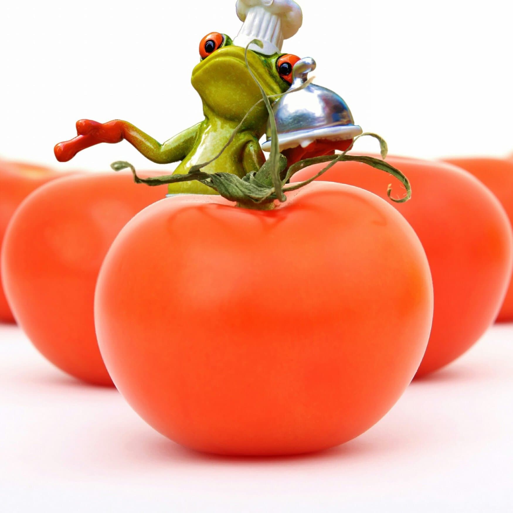 New greenhouse complex will be created in Bashkortostan