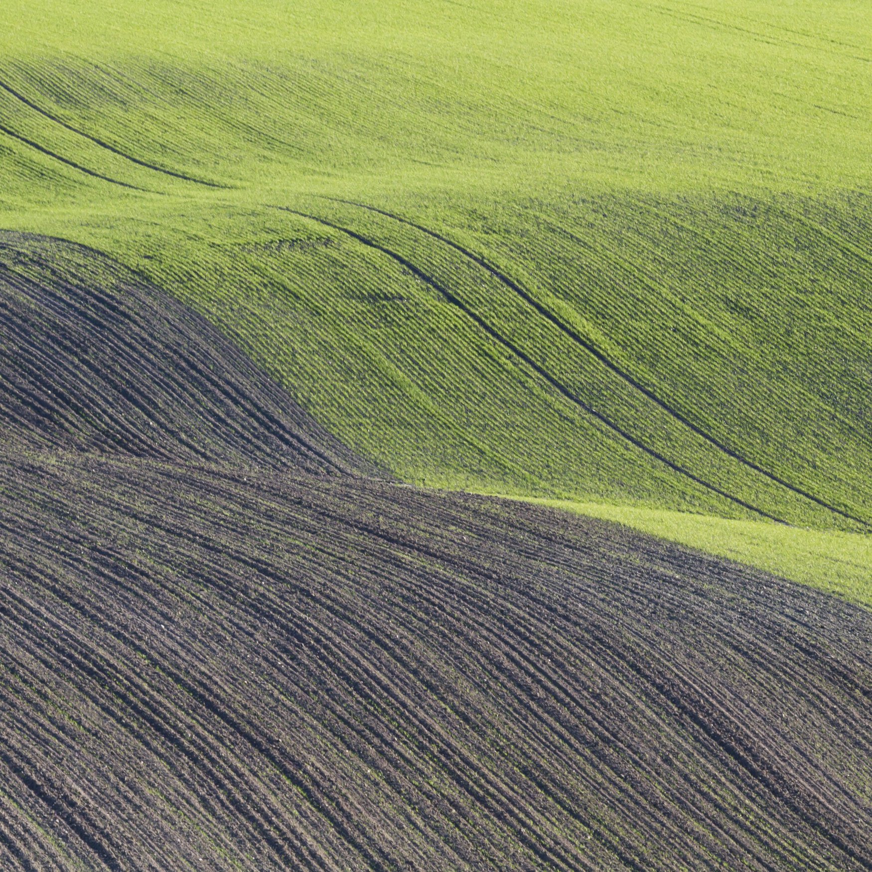 Sowing of winter crops may fail in Ukraine