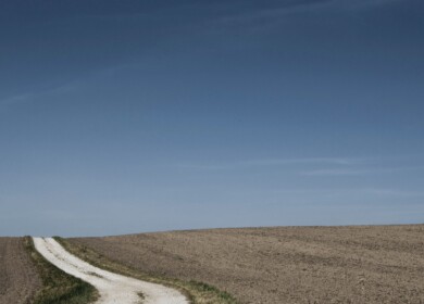 Russian farmers increased the usage of mineral fertilizers