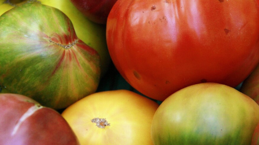 Greenhouse complex in the Volgograd region will expand its capacity