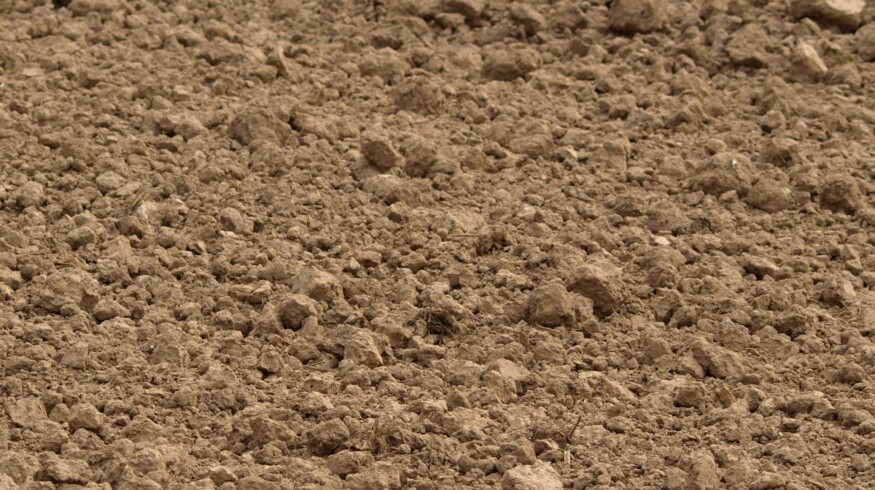 Winter crops are being planted in the Rostov region