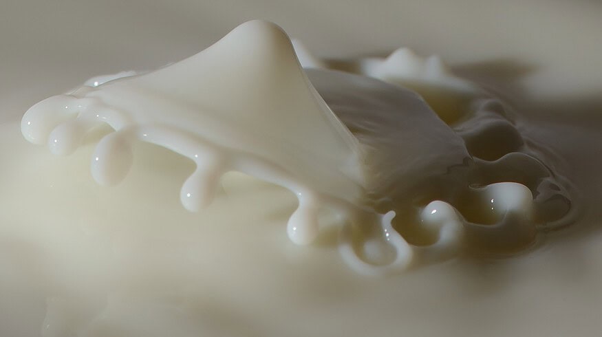 Uralchem and Innopraktika will launch new bioprotein production