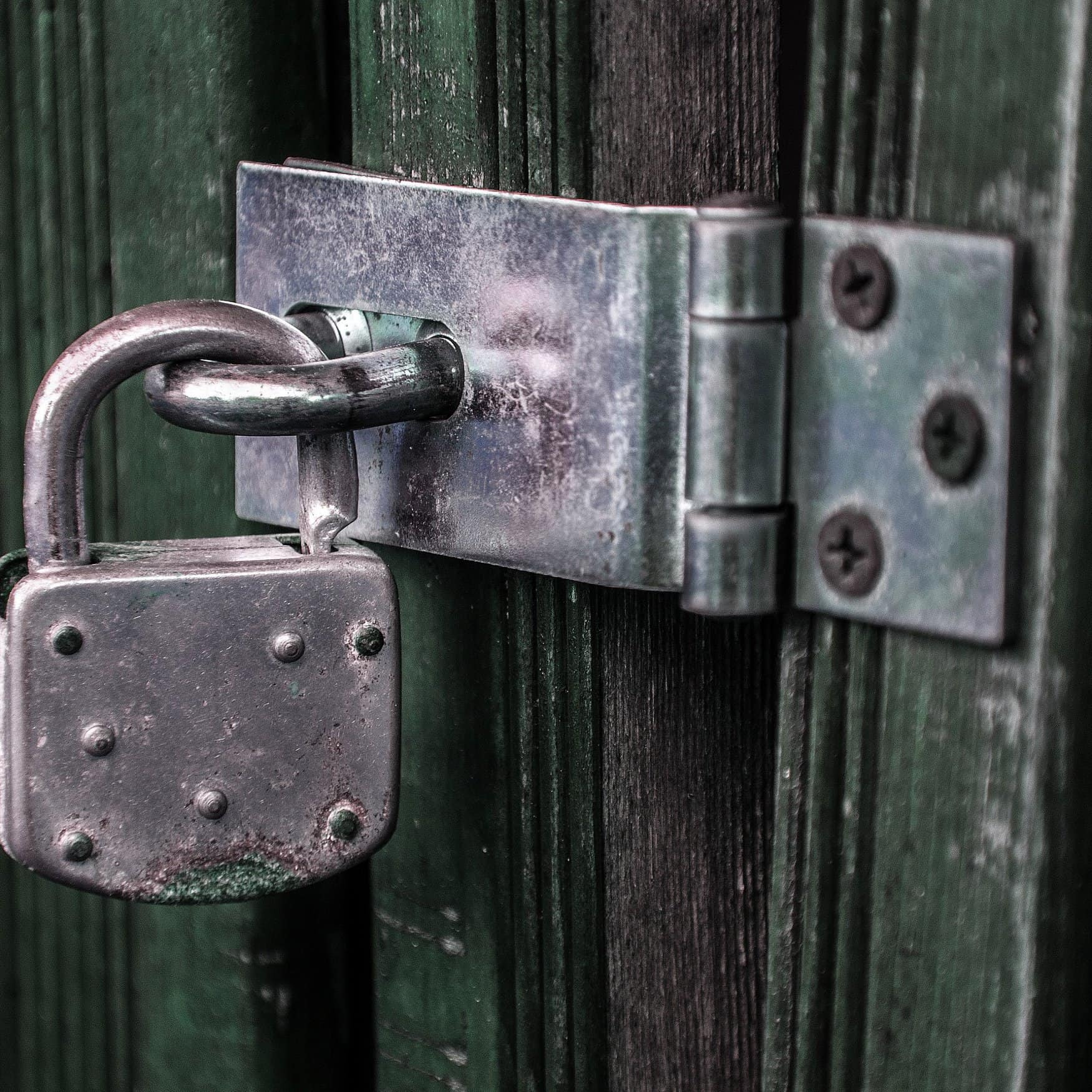 Ukraine blocks the export of Russian ammonia