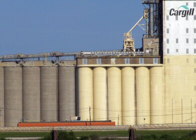 Uralchem became interested in grain trade