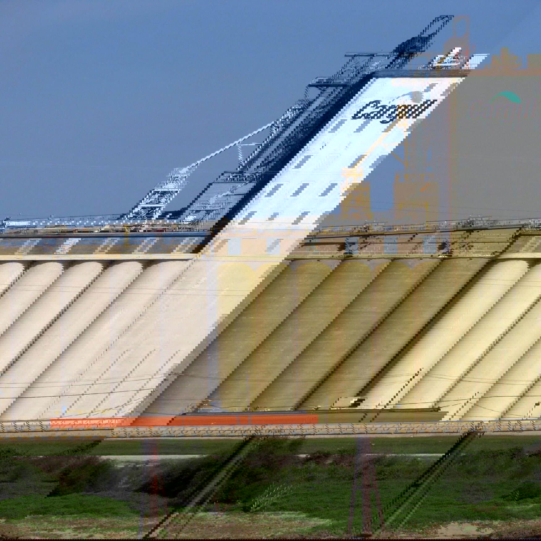 Uralchem became interested in grain trade