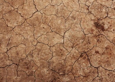 EuroChem study says Russian soils lose too much calcium and magnesium