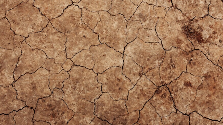 EuroChem study says Russian soils lose too much calcium and magnesium