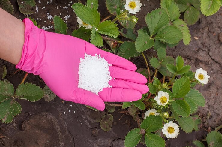 Acron increased production of nitrogen fertilizers by 8.8%