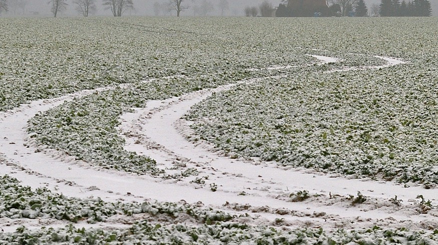 Farmers of the Volgograd region are preparing for spring sowing campaign