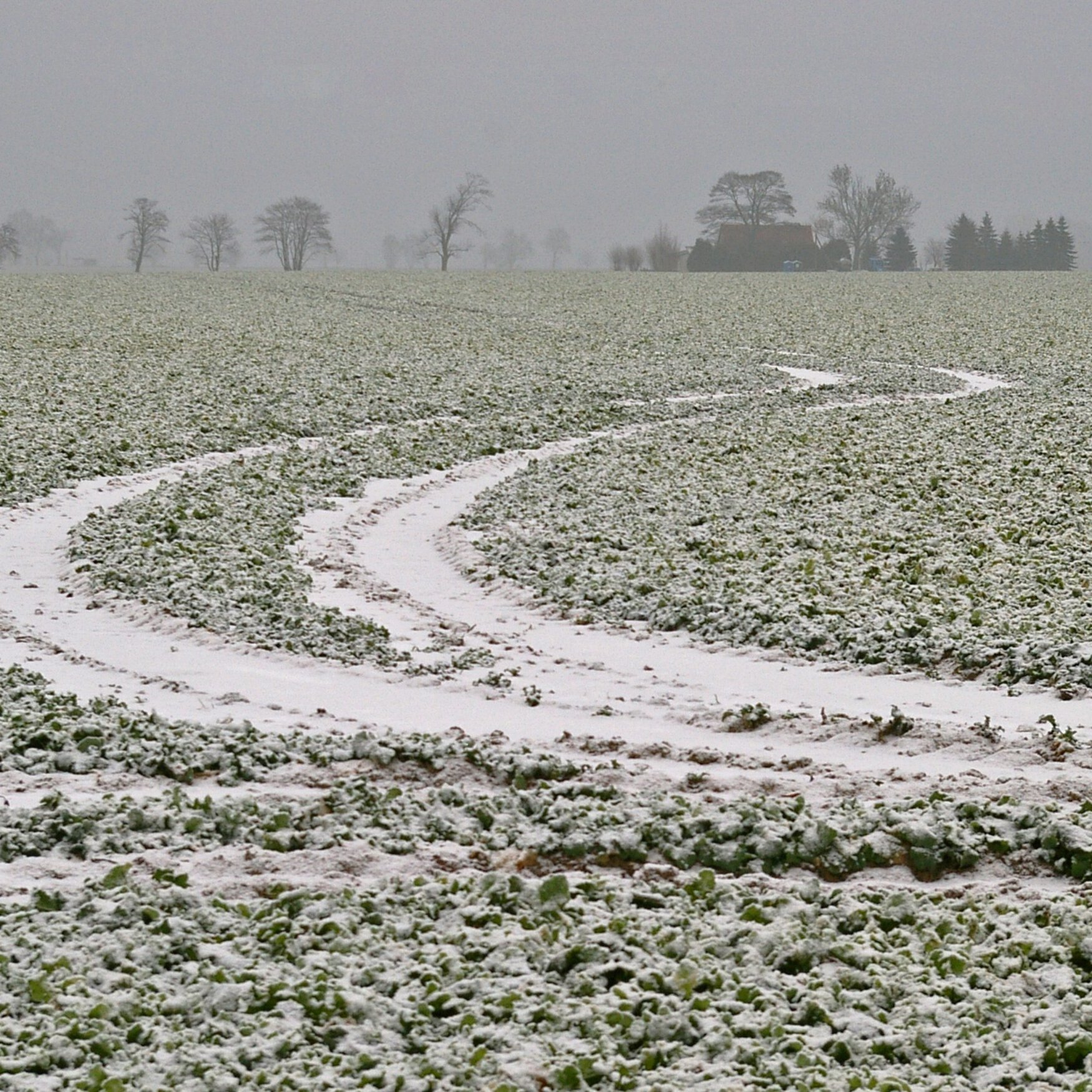 Farmers of the Volgograd region are preparing for spring sowing campaign