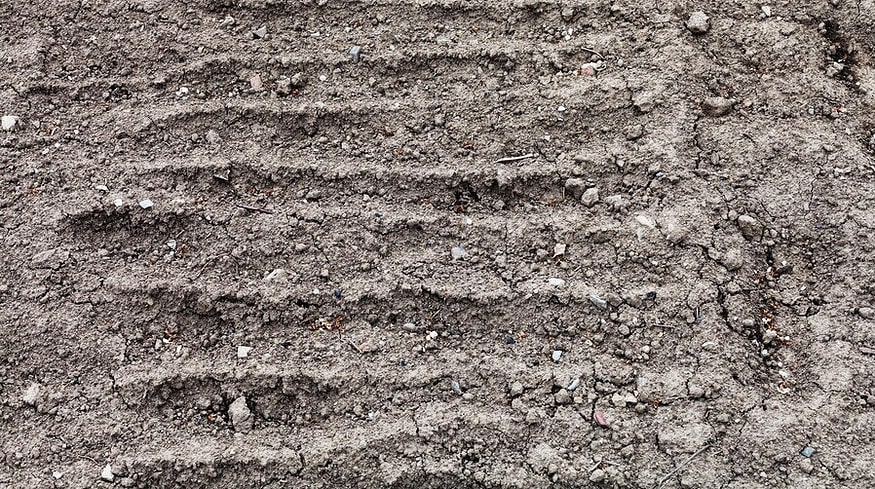 Cultivation area in the Kurgan region will expand by 2.2%