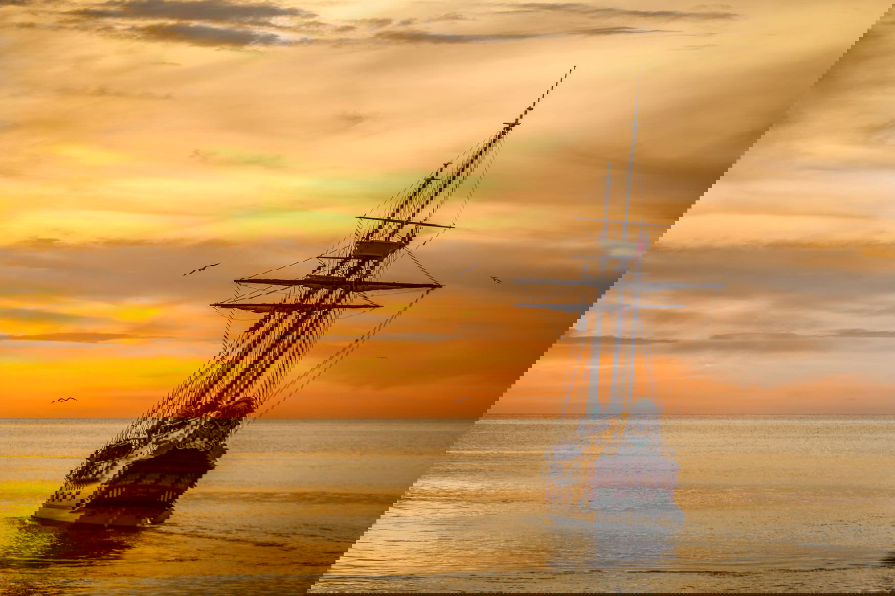 United Grain Company wants to acquire new fleet to export its products