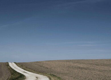 Rusmolco will sow over 80 thousand hectares this year