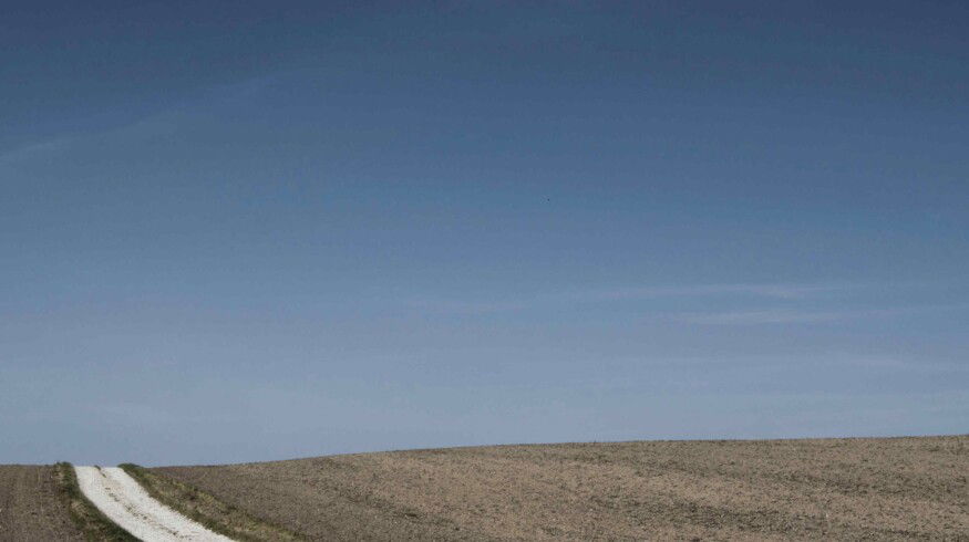 Rusmolco will sow over 80 thousand hectares this year