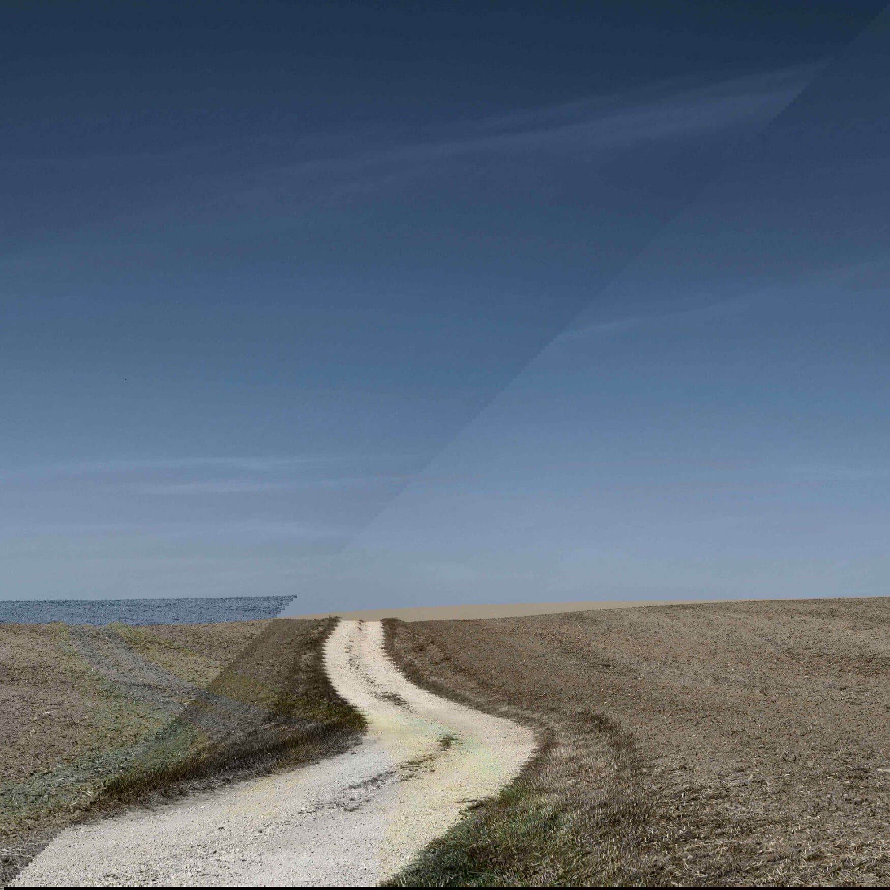 Rusmolco will sow over 80 thousand hectares this year