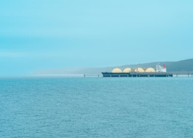 Novatek will supply Deepak Fertilisers and Petrochemicals with raw materials