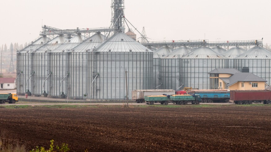 Agro complexes of Russia’s newly attached regions received almost $39 million in support