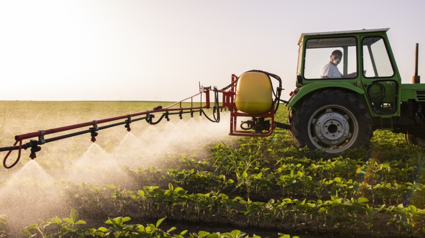 Pesticide prices should fall according to Avgust