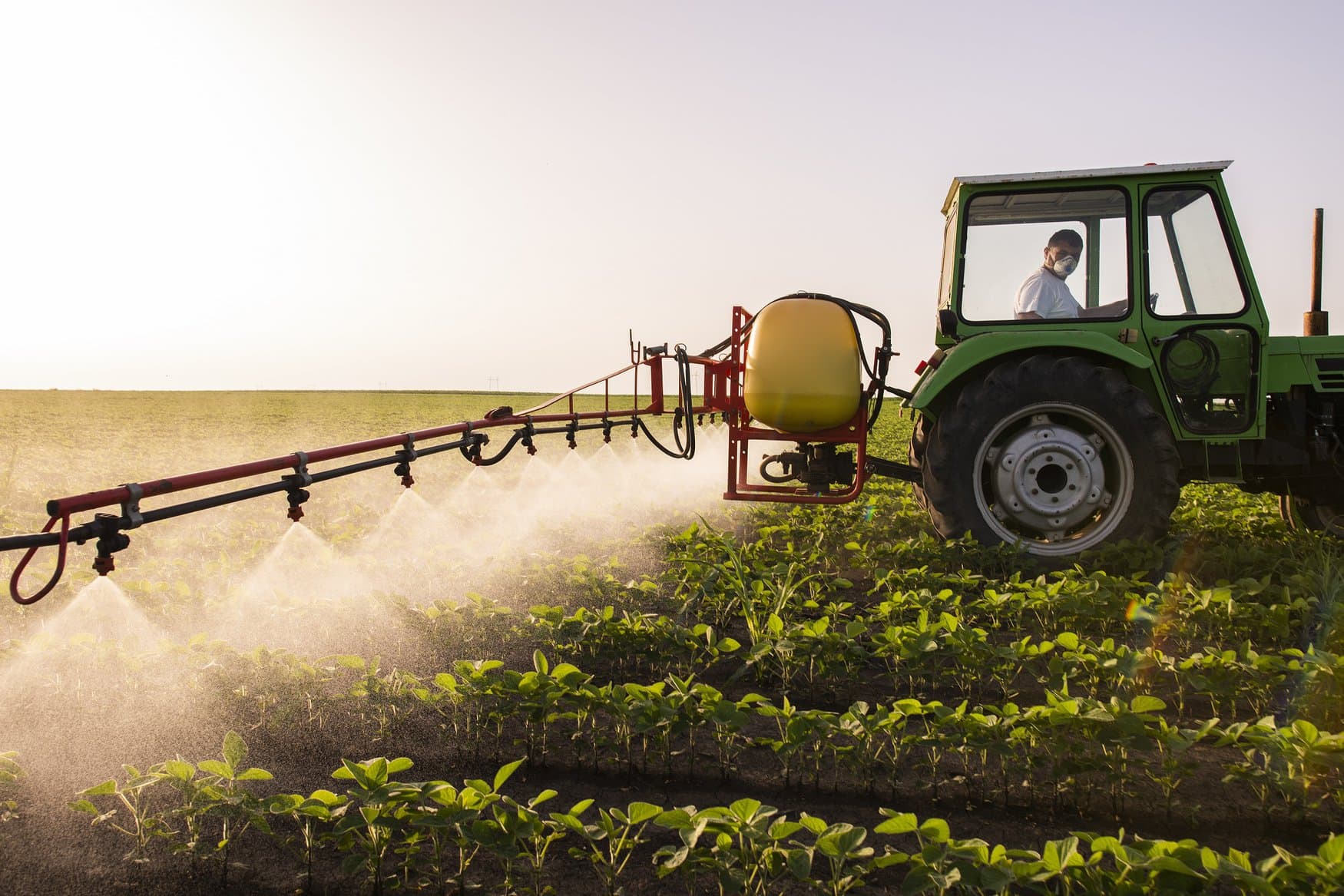 Pesticide prices should fall according to Avgust