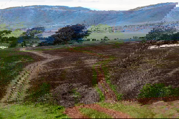 Eswatini awaits Russian fertilizers delivery